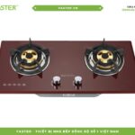 Bếp ga âm Faster FS 217R