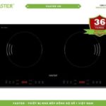 Bếp từ nhập khẩu Malaysia FS 688I