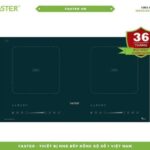 Bếp từ nhập khẩu Malaysia FS 8899I Plus