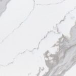 BQ8811